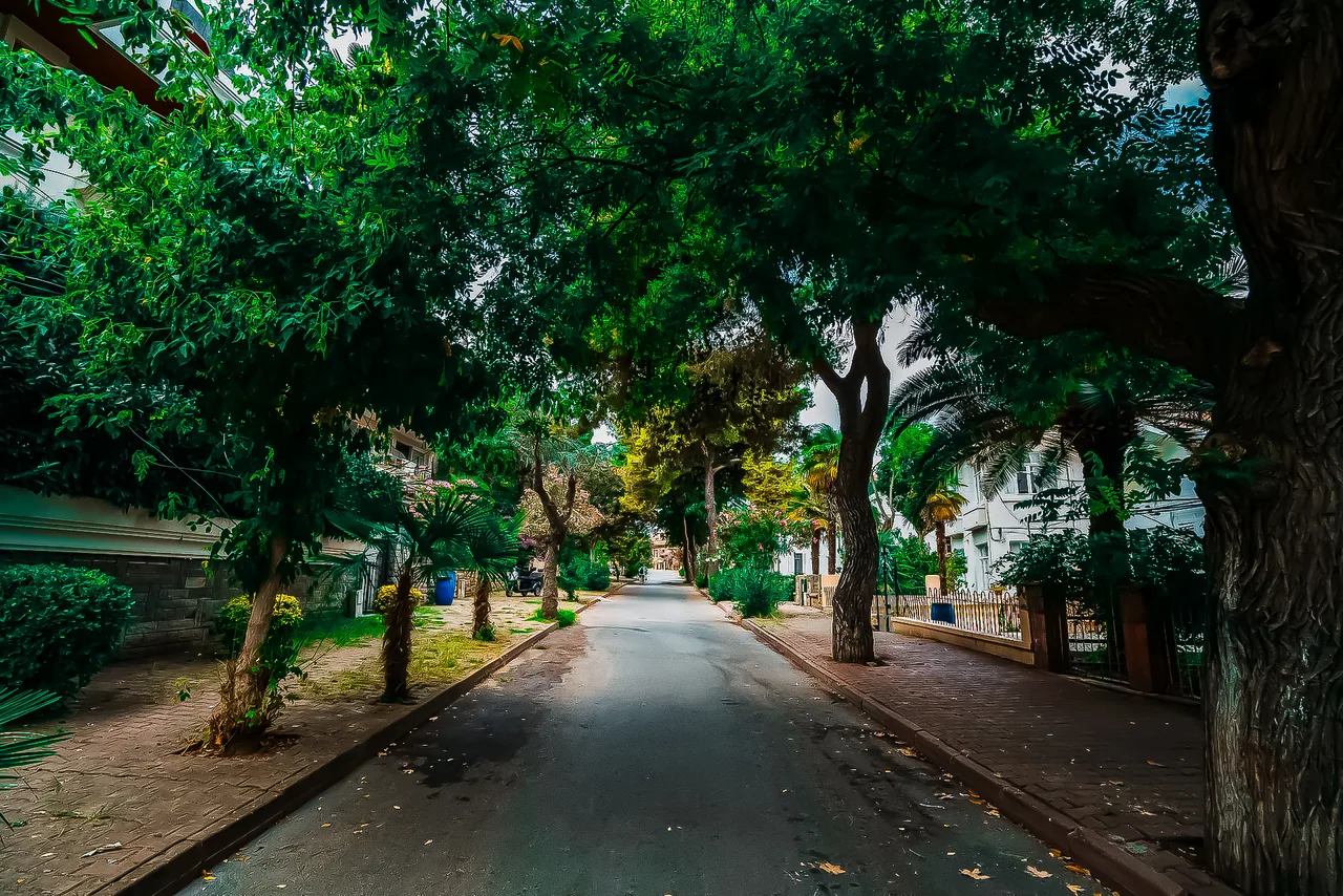 Rua residencial arborizada em bairro tranquilo de Mongaguá